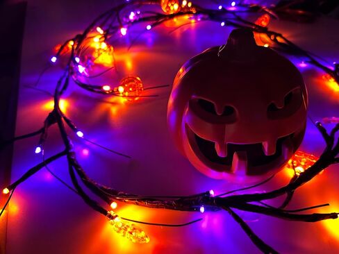 ضوء ديكور للهالوين على شكل خفاش عنكبوت للهالوين، ضوء راتان، شجرة محاكاة LED - أرجواني in Kuwait