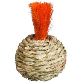 Prevue Pet Products Grassy Nibblers Squash Small Animal Chew Toy