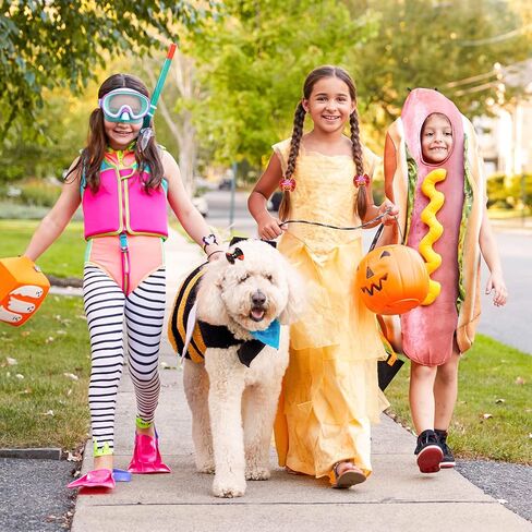 Frienda 64 Pieces Halloween Dog Hair Bows Halloween Dog Topknot Bows with Rubber Bands Pumpkin Ghost Bat Pet Hair Bows Puppy Grooming Bows Halloween Dog Hair Accessories for Pets Dogs Cats, 32 Pairs in Saudi Arabia