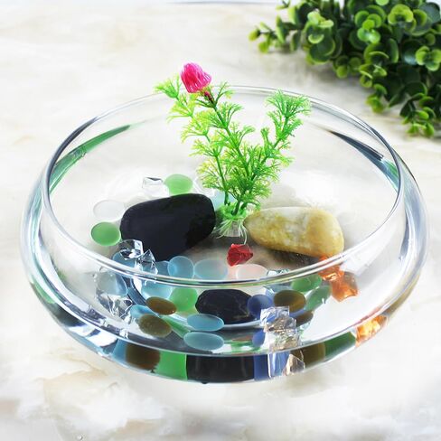 Milisten Glass Vase Bowl, Wide Mouth Flower Vase Round Terrarium, Small Fish Tank, Plastic Betta Tank, Hydroponic Vase Planter Floral Container Clear Fish Bowl for Table in Saudi Arabia