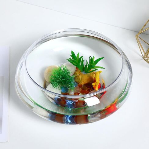 Milisten Glass Vase Bowl, Wide Mouth Flower Vase Round Terrarium, Small Fish Tank, Plastic Betta Tank, Hydroponic Vase Planter Floral Container Clear Fish Bowl for Table in Saudi Arabia