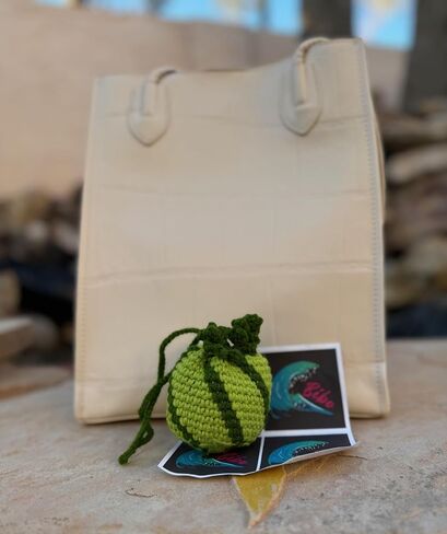 Dark Green Watermelon Crochet Purse Handmade Pouch Drawstring Bags Mini Handbag Coin Purse Wallet Earbuds Case Key fob lipstick storage Gift for women men girls boys kids (Dark Green Watermelon) in Saudi Arabia
