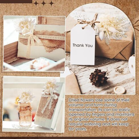Yinkin 12 Pcs Mini Dried Flower Bouquet for Boho Floral Wedding 6'' Small Dry Pampas Grass Handmade Tiny Dried Flower for Crafts DIY Boutonniere Table Centerpieces Bridesmaid Gift Box(Pink,Floral) in Saudi Arabia