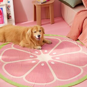 Lesure Puppy Blankets for Small Dogs - Calming Fruit Blanket for Pet, Cute Soft Cozy Fruit Pattern Round Blankets for Dog Gift, 350GSM Flannel Pet Throw Blanket for Puppy, 30"x30", Red