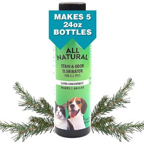 All Natural Stain & Urine Odor Eliminator Pet Enzyme Cleaner. Makes 1 Gallon. Dog & Cat Pee Smell Remover. Best Spray for Carpet, Hardfloor, Mattress, Turf, Kennel, Dog Bed, Concrete, Etc
