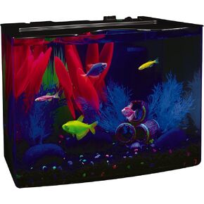 GloFish Crescent aquarium Kit 3 Gallons, Includes Hidden Blue LED Light And Internal Filter