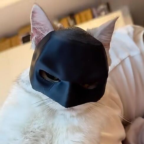 Cat Bat Cosplay Hat Bat Cat Mask Custom Cat Bat Hat Pet for Cat (Large) in Saudi Arabia