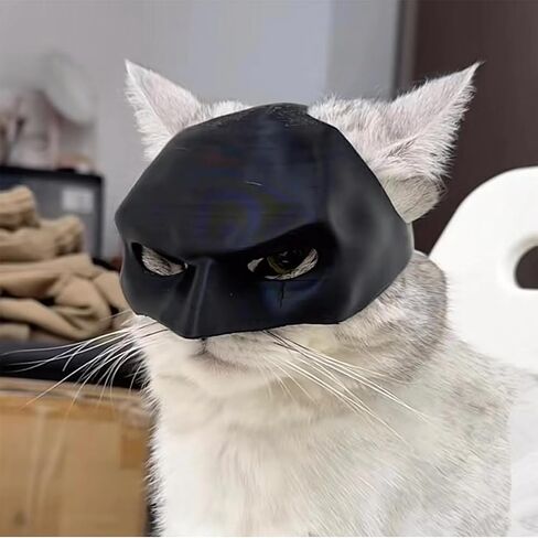 Cat Bat Cosplay Hat Bat Cat Mask Custom Cat Bat Hat Pet for Cat (Large) in Saudi Arabia