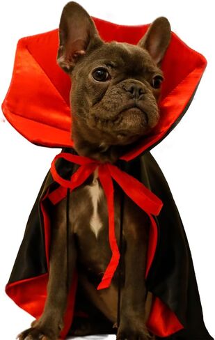 Dog Cat Vampire Cloak Costume for Small Medium Large Dogs Cats, Halloween Dog Costumes Cat Vampire Cloak in Saudi Arabia