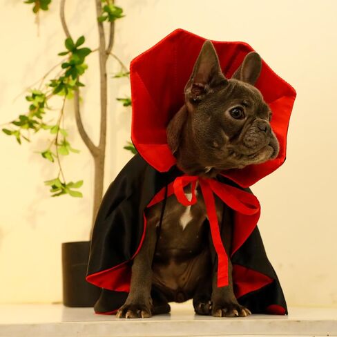 Dog Cat Vampire Cloak Costume for Small Medium Large Dogs Cats, Halloween Dog Costumes Cat Vampire Cloak in Saudi Arabia