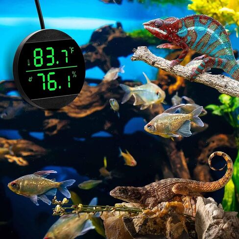 2 حزمة من ملحقات خزان الزواحف الرقمية LED ومقياس الرطوبة لخزان الزواحف لملحقات خزان الثعبان الزواحف صندوق تربية الحيوانات الأليفة مع مصدر طاقة USB، فهرنهايت أسود in Kuwait