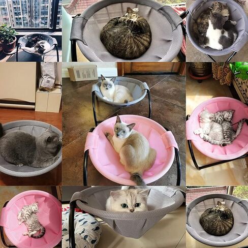 Medium Cat Bed - Breathable Mesh Material, Suitable for Indoor and Outdoor Use, Easy Assembly, Drainage and Quick Drying in Kuwait