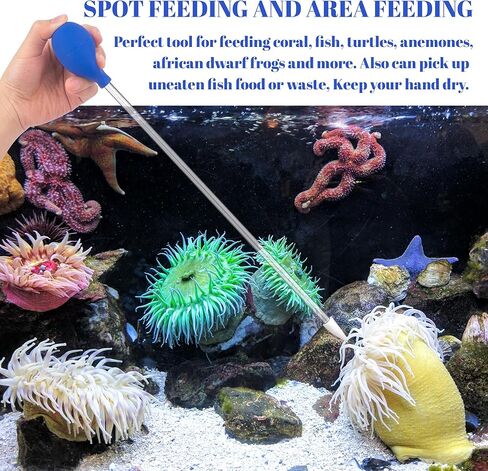 Coral Feeder Fish Feeder, Tank Feeding Tube Tongs Tweezers for Axolotl Reef Roids Aquatic Plant Spider Snake Lizard, Aquarium Cleaning Kit 7 Pieces in Kuwait