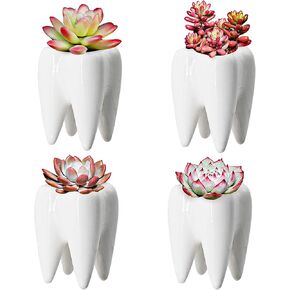 YOFIT Modern Style Teeth Pots Ceramic Flower Pot for Dental Gifts, White Succulent Cactus Bonsai Planter Container for Dental Office Decor, 3.7" Set of 4