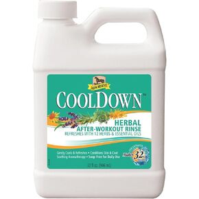 Absorbine CoolDown Herbal After Workout Rinse, 12 Herbs & Essential Oils, Soap-Free Formula, Concentrate Makes 32 Gallons