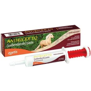 Equine Paste (24 gm)