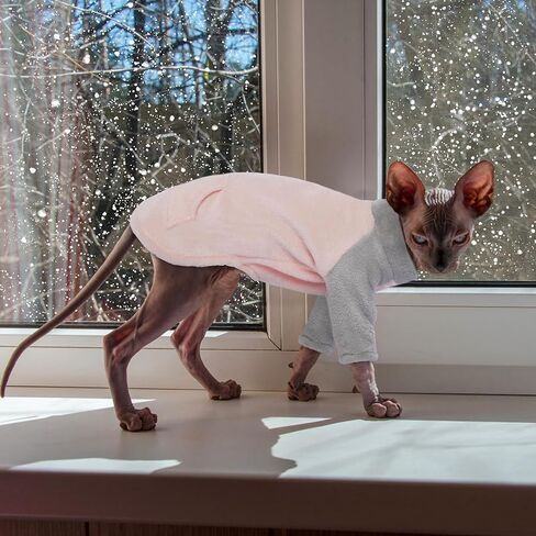 PUMYPOREITY Kitten Sweater, Fleece Cat Shirt, Turtleneck Cat Clothes, Winter Warm Cat Outfit, Thick Cat Sweaters for Cats Only, Blue, S in Kuwait