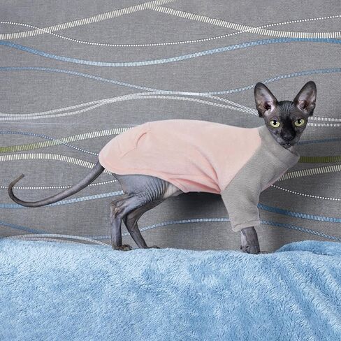 PUMYPOREITY Kitten Sweater, Fleece Cat Shirt, Turtleneck Cat Clothes, Winter Warm Cat Outfit, Thick Cat Sweaters for Cats Only, Blue, S in Kuwait