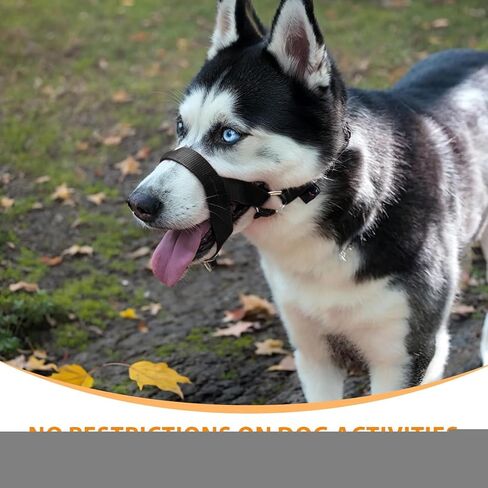 طوق رأس الكلب الناعم من باركليس، أداة تدريب لا تسحب للجراء والكلاب الصغيرة أثناء المشي، طوق تدريب لطيف وتحكم للسحب الثقيل، يتضمن دليل تدريب (صغير) in Kuwait