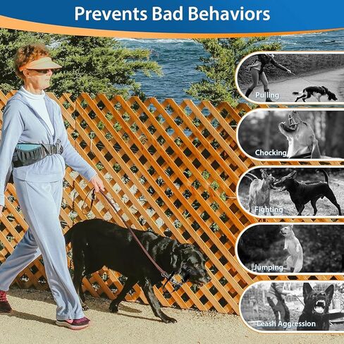 طوق رأس الكلب الناعم من باركليس، أداة تدريب لا تسحب للجراء والكلاب الصغيرة أثناء المشي، طوق تدريب لطيف وتحكم للسحب الثقيل، يتضمن دليل تدريب (صغير) in Kuwait