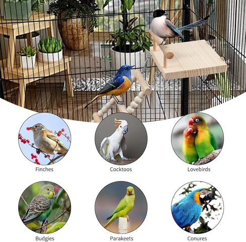 Bird Perches Cage Toys Parrot Wooden Platform Play Gyms Exercise Stands with Acrylic Wood Swing Ferris Wheel Chewing for Animals Green Cheeks, Baby Lovebird, Chinchilla, Hamster Budgie in Saudi Arabia