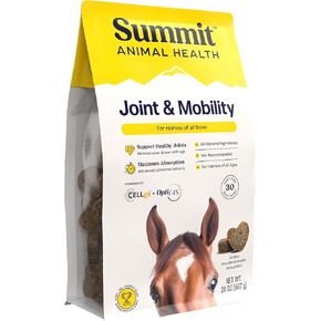 Summit Equine Joint & Mobility Bites Daily Supplement for Horses, Liposomal Delivery, Max Absorption, Vet Recommended, All-Natural Ingredients, 100% Drug-Free, Healthy Joints - 30 Bites