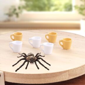6 Pack Spider Micro Water Bowl Tarantula Resin Feeding Bowl for Tarantula Spider Millipede Tiny Bugs (Yellow and White)