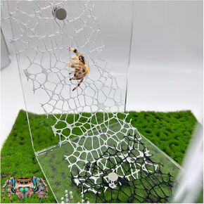 6 PCS Jumping Spider Habitat Accessories-Jumping Spider Webbed Moss Ribbon with Magnets for Spoods Jumping Spider Enclosure Spoods Climbing (Not Included The Jumping Spider Terrarium)
