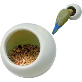 وعاء طعام من السيراميك مضاد للانسكاب لتغذية الطيور والببغاء والكوكاتيل والببغاوات والكونيور والحمار الوحشي والهامستر والخنازير الغينية والأرانب والجربوع - مستلزمات الحيوانات الأليفة الصغيرة (وردي) in Kuwait