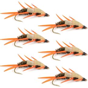 Double Bead Peacock Stonefly Nymph with Amber Biot Legs Fly Fishing Flies - Trout and Bass Wet Fly Pattern - 6 Flies Hook Size 12