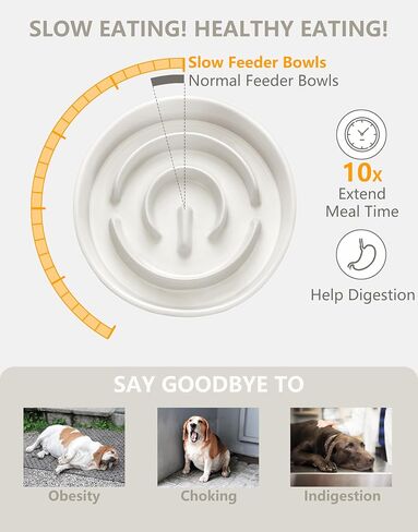 Ceramic Slow Feeder Dog Bowls, 2.0 Cups Slow Feeder for Medium Dogs, Puzzle Maze Bowl to Slow Down Eating, 30oz, 8in, White in Kuwait