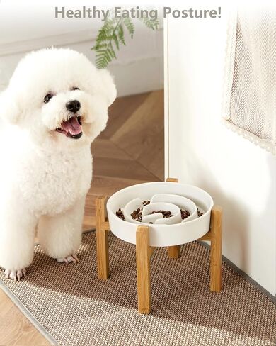 Ceramic Slow Feeder Dog Bowls, 2.0 Cups Slow Feeder for Medium Dogs, Puzzle Maze Bowl to Slow Down Eating, 30oz, 8in, White in Kuwait