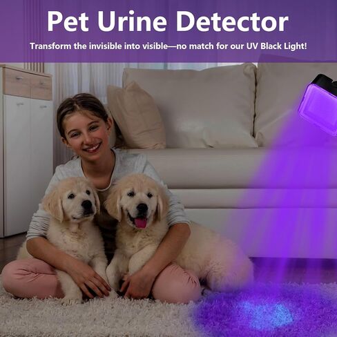 مصباح يدوي بالأشعة فوق البنفسجية ببطارية 2400 مللي أمبير في الساعة، 80 مصباح LED أسود للكشف عن البول للحيوانات الأليفة لبول الكلاب/القطط، والبقع الجافة، وحشرات السرير، وعلاج الراتنج، ومكتشف العقارب in Kuwait