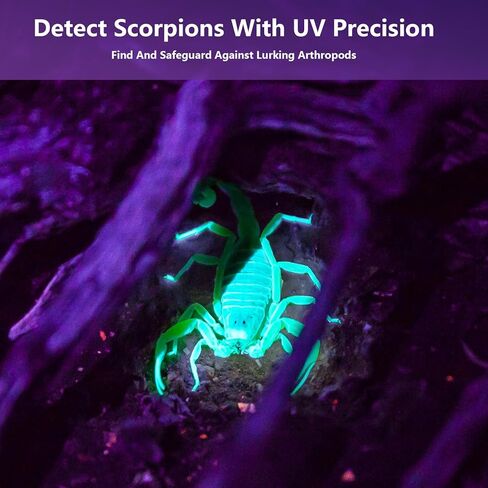 مصباح يدوي بالأشعة فوق البنفسجية ببطارية 2400 مللي أمبير في الساعة، 80 مصباح LED أسود للكشف عن البول للحيوانات الأليفة لبول الكلاب/القطط، والبقع الجافة، وحشرات السرير، وعلاج الراتنج، ومكتشف العقارب in Kuwait