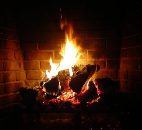 Ignite-O مشعل نار فوري - 50 عبوة من مشعل نار سهل الإضاءة - مثالي لنيران المخيمات وشوايات الفحم والمواقد ومواقد الخشب - عديم الرائحة، سريع الاشتعال in Saudi Arabia