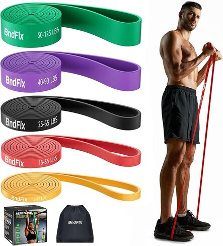 Resistance Bands Set, Exercise Workout Bands for Fitness Training, 5-125 lbs, Includes Pull Up Assist Bands, Carrying Bag Gray in Saudi Arabia
