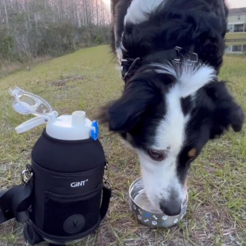 GiNT 37oz / 1.1L Insulated Dog Water Bottle with Carrying Case, Dark Grey in Kuwait