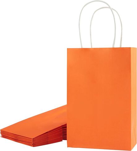 SUNCOLOR 24-Pack Small Gift Bags with Handles, 8" Rainbow Party Favor Bags in Saudi Arabia