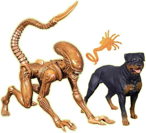 Alien Collection Special Edition - Xenomorph Runner - Fully Poseable Figure 7 inch in Saudi Arabia