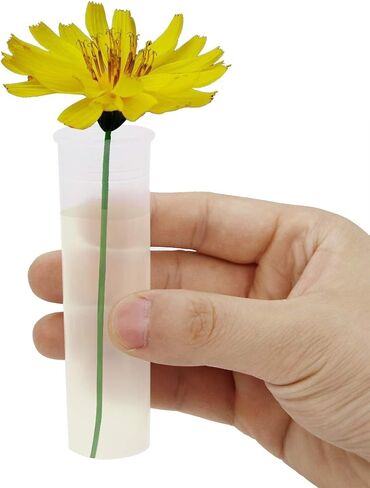 21 عبوة 60 مل من أنابيب المياه الكبيرة ذات الأزهار مع حامل حامل قوارير الزهور حاوية المياه لترتيبات الزهور، قطع أعشاب الحليب in Kuwait