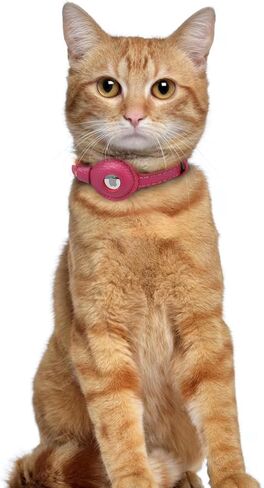 OOPSDOGGY Leather AirTag Cat Collar with Bell - Non Breakaway Kitten Collar with Apple Air Tag Holder - Lightweight GPS Pet Collars for Girl Boy Cats, Small Dogs, Puppies (Aquamarine) in Saudi Arabia