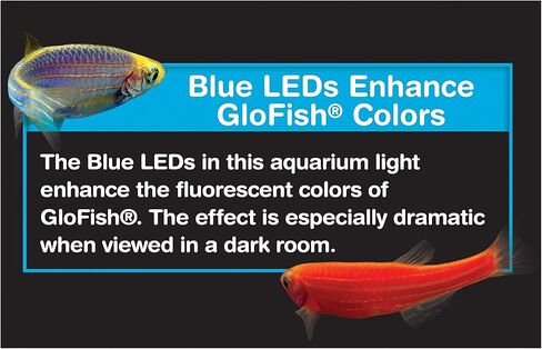 مصباح LED عالمي من GloFish، لأحواض السمك بسعة تصل إلى 15 جالون، مع مصابيح LED زرقاء معززة للألوان، 9 بوصة × 7 بوصة × 3 بوصة in Kuwait