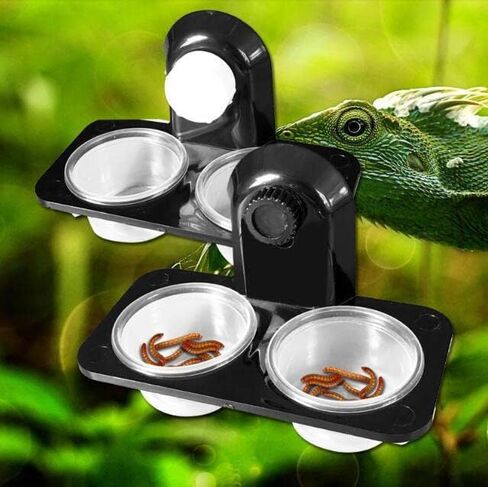 ABS Food Water Tank Dish Bowl Feeding Terrarium Pot Reptile Amphibian Gecko for Reptiles Food and Water Feeding Amphibians Lizards,Spiders,Snake,Frogs and Other Small Animal Pets in Saudi Arabia