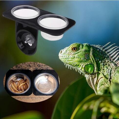 ABS Food Water Tank Dish Bowl Feeding Terrarium Pot Reptile Amphibian Gecko for Reptiles Food and Water Feeding Amphibians Lizards,Spiders,Snake,Frogs and Other Small Animal Pets in Saudi Arabia