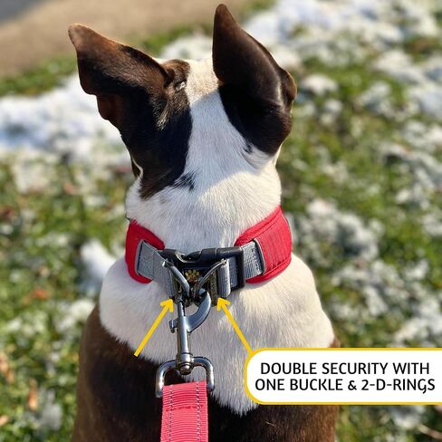 ADITYNA - طوق كلب قابل للتعديل بعرض 2 بوصة للكلاب الكبيرة - زخرفة عاكسة وحلقة مزدوجة على شكل حرف D للسلامة - مادة أكسفورد وبطانة شبكية للراحة (أحمر، كبير: يناسب الرقبة من 18 إلى 23 بوصة) in Kuwait