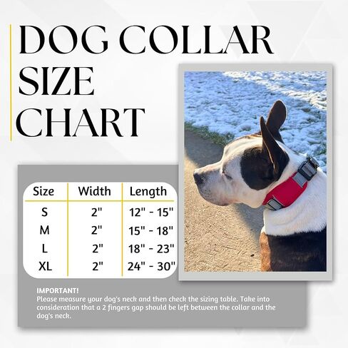 ADITYNA - طوق كلب قابل للتعديل بعرض 2 بوصة للكلاب الكبيرة - زخرفة عاكسة وحلقة مزدوجة على شكل حرف D للسلامة - مادة أكسفورد وبطانة شبكية للراحة (أحمر، كبير: يناسب الرقبة من 18 إلى 23 بوصة) in Kuwait