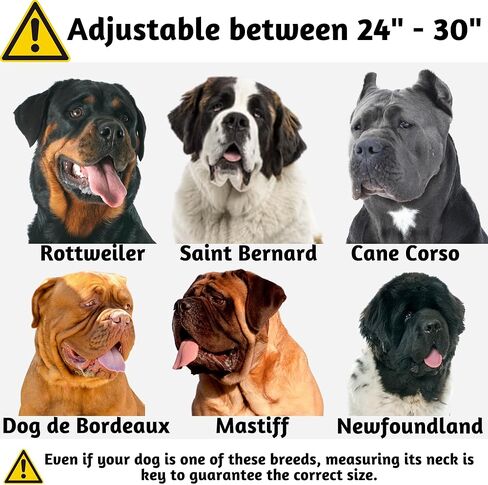 ADITYNA - طوق كلب قابل للتعديل بعرض 2 بوصة للكلاب الكبيرة - زخرفة عاكسة وحلقة مزدوجة على شكل حرف D للسلامة - مادة أكسفورد وبطانة شبكية للراحة (أحمر، كبير: يناسب الرقبة من 18 إلى 23 بوصة) in Kuwait
