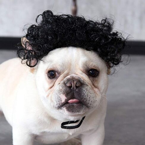 Pet Dog Cat Cosplay Wig - Funny Dog Hair Accessories Pet Headwear Dog Dress up for Cosplay Halloween Decorations in Saudi Arabia