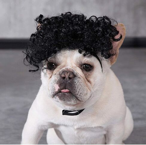 Pet Dog Cat Cosplay Wig - Funny Dog Hair Accessories Pet Headwear Dog Dress up for Cosplay Halloween Decorations in Saudi Arabia