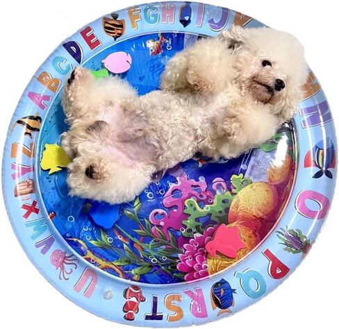 Cat Water Mat for Dogs - 2 Pack, Upgraded Thicken Unbreakable Cat Splash Play Mat, Circle Innovative Water Sensor Mat for Dogs for Endless Self Play in Saudi Arabia